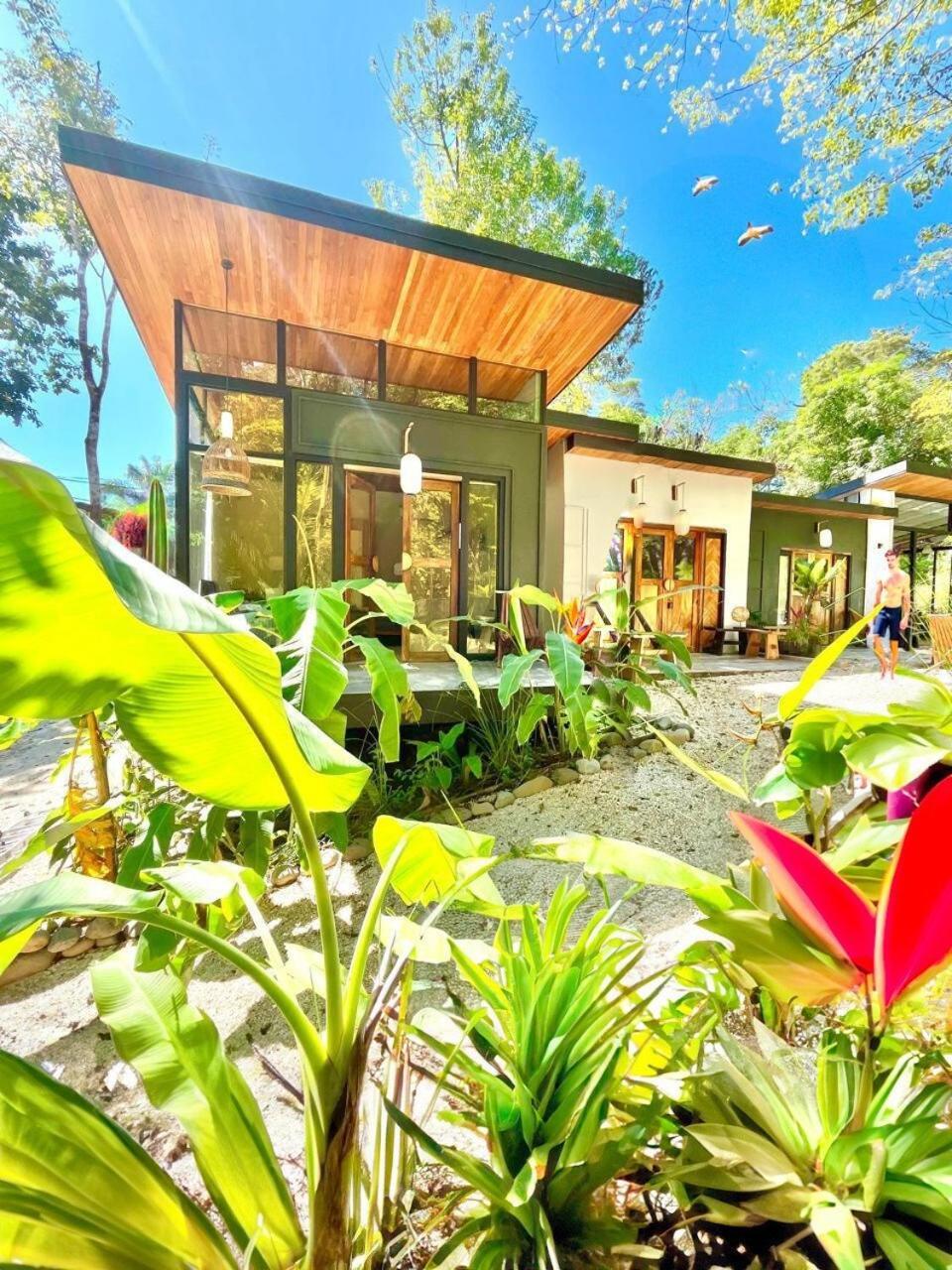 Villa Ikiru House Playa Santa Teresa  Exterior foto
